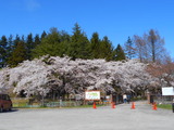 DSCN9204
