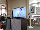 ANMP0219