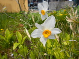 DSCN9246