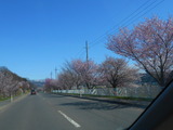 DSCN9206