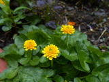 DSCN9244