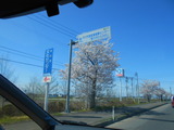 DSCN9201