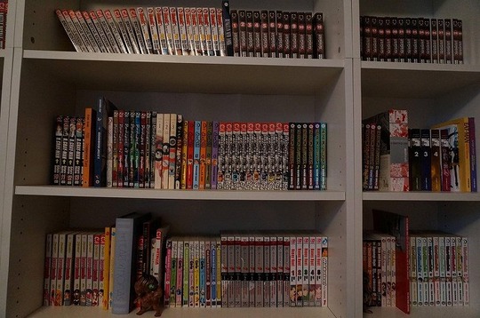 海外の反応プリーズ (5)
