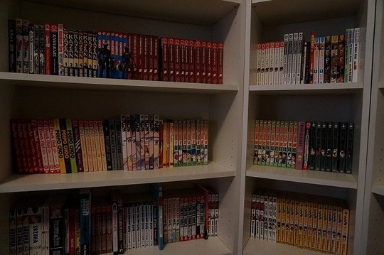 海外の反応プリーズ (8)