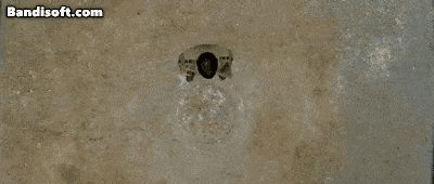 ezgif.com-gif-maker - 2022-05-31T201139.069