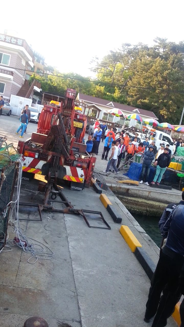 韓国人「車が海に落ちた!」 : カイカイ反応通信