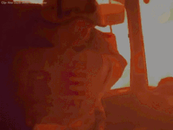 00029259