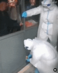 y摜zsAɂHׂ邽߂5Ԃsɕł܂www  [271912485]YouTube>3{ ->摜>35 