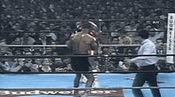 10-ezgif.com-optimize (1)