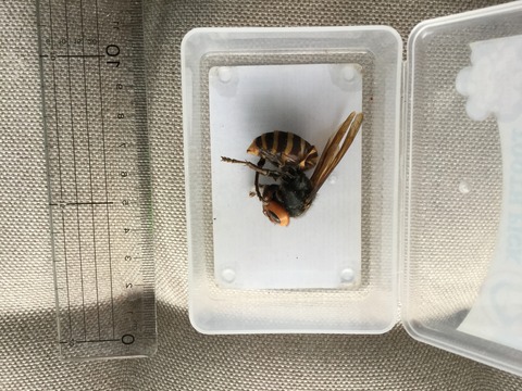 0E385CCF-B1DA-43F8-B91A-397801F570DE