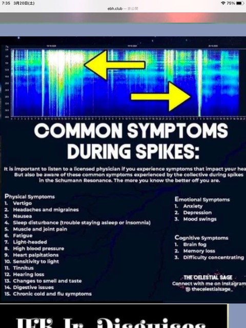 FFE9DE7F-74A6-44DF-BD2F-4BD02A2D6C34