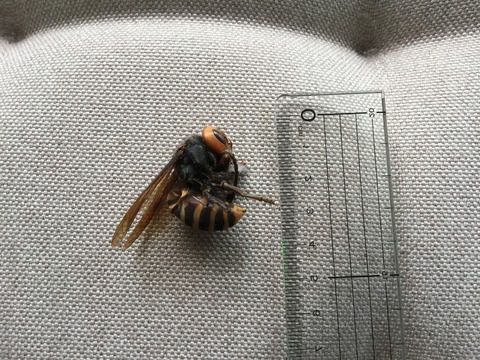 468FA78E-263D-4F1D-9624-72A0B26B16A0