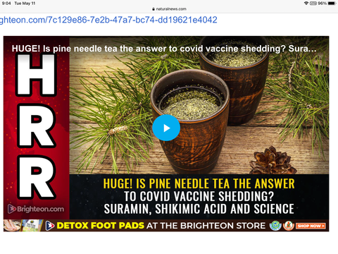 BEC5E062-18B9-45AE-8B6B-7555AA96B18E