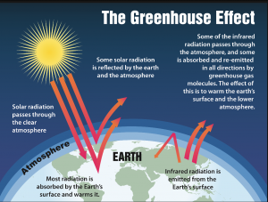 A2A5C373-F0FE-4093-8EA7-DE914835C5B3