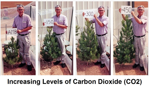 96EF5D00-F7F2-44C7-A37C-3E35BB3E89C9