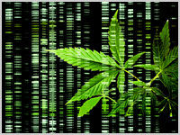 B29D689C-71D6-4524-81F6-9F64822576FF