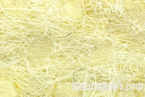 1FBA2997-AA98-40A5-B518-7E8C603077EC