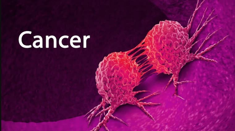 A48F013D-2EBD-4A9D-BA8B-05F1819C546B