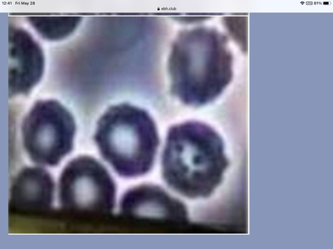 A9ED19F9-1260-4B4F-9D88-066DD80F81F9