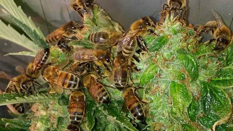 DE5392E6-5A61-4A72-A110-17CF00293F39