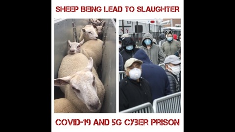 020A4EF2-14A6-4473-9C6D-7AB1C65A0632