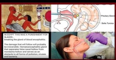 DB826746-242C-408C-BEC4-EC5F61CA7754