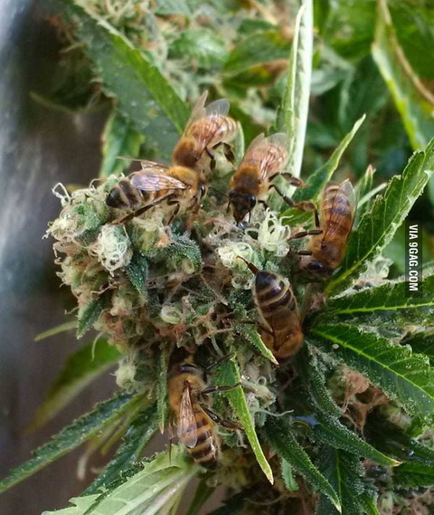 ED788840-A0BD-418F-90F9-B3864D710C4A