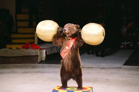 A7A50AC7-C79A-4227-B3BD-7DA40DE336F0