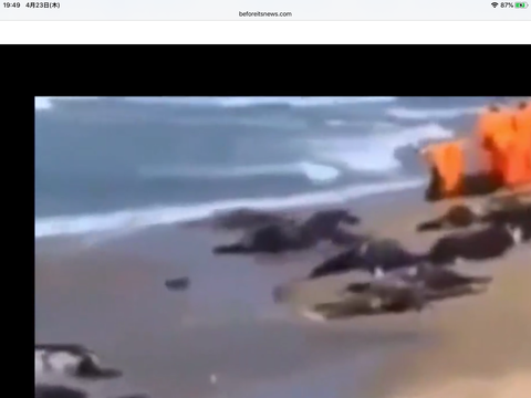 84B7C0AA-DDFF-44FB-A1B0-78014CF27224