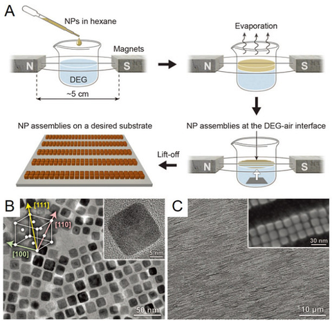 D438E301-3D8E-45CE-B10B-DA5EBE4AC9DB