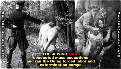 D72A0341-48E0-41E8-BB7D-7DFBF3B8D386