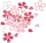 �յ٤ߡʺ���