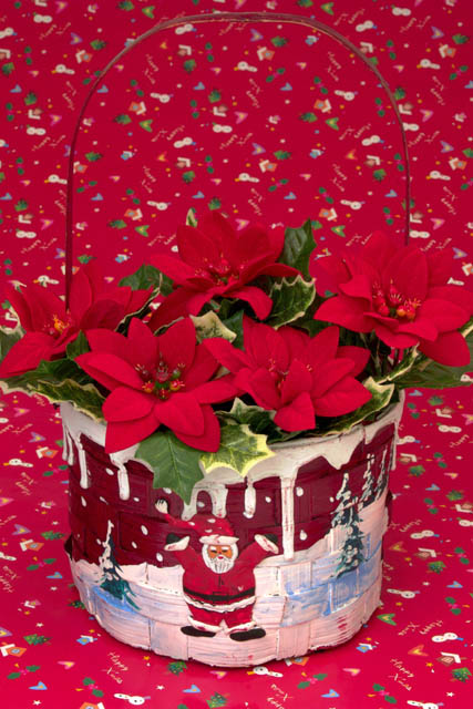 ¥Ý¥¤¥ó¥»¥Á¥¢