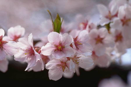 4�������