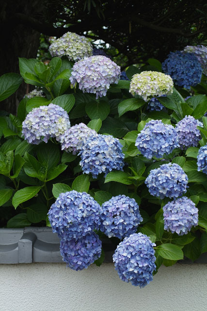 6�������������