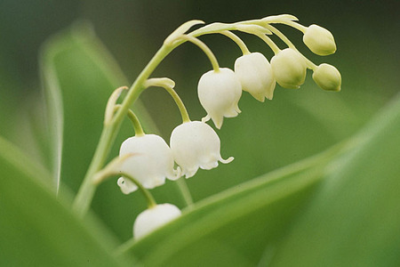 5��������