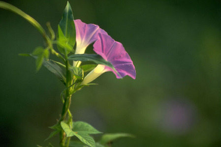 ī��ʲ���������