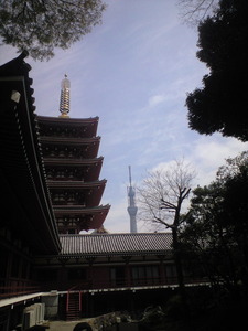 2011年4月11日五重塔とスカイツリー