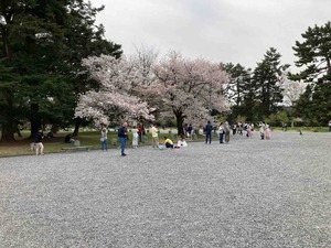 FB31B92D-45FF-46F8-9C70-E9E5CB97A5C7