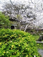 IMG_20170410_110801