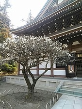 IMG_20180228_102100