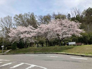 73B0CB92-63BE-4D7A-BB97-6641C383808B