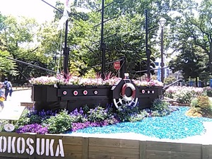 IMG_20170520_115030