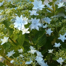 IMG_20200604_141516_318