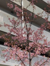 53130AA4-24A0-4157-8A34-85D7E1796D5C