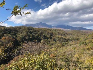 IMG_1591