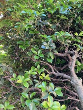 F87CECE2-A00F-47C5-BAB8-CAE1DCCEF77B