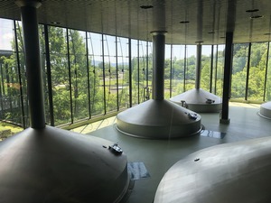 IMG_0192
