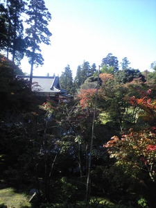 2010年11月19日円覚寺