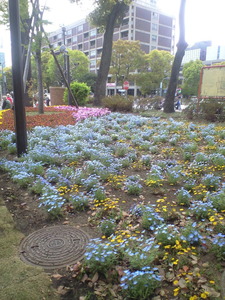 2011ǯ4��17�����塼��å׺�